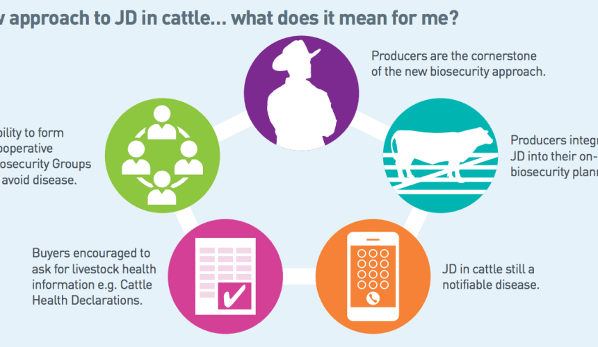 Johne’s Disease: What to expect when you’re detecting