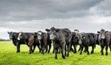 Legally speaking: Planning checklist before purchase of rural property