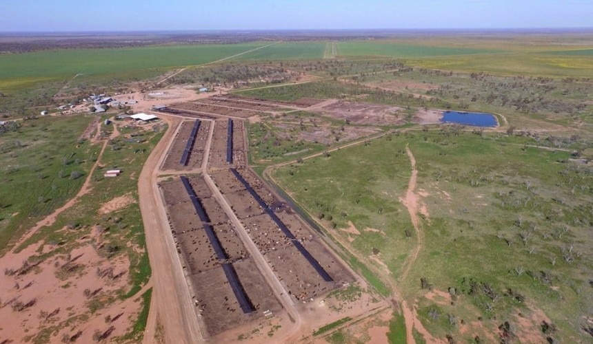 Surge in feedlot assets hitting the property market