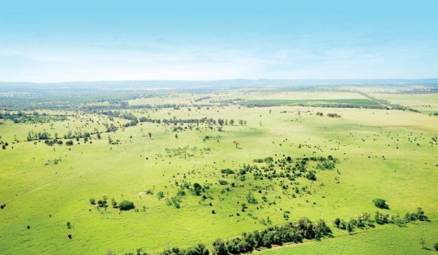 Weekly Property Review: Bidding up a storm, remotely