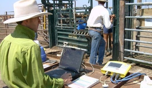 New service supports regional Aussies to solve phone & internet problems