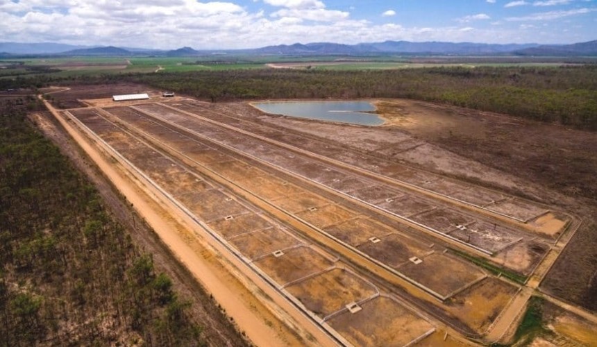 Established Qld cattle feedlot back on the market