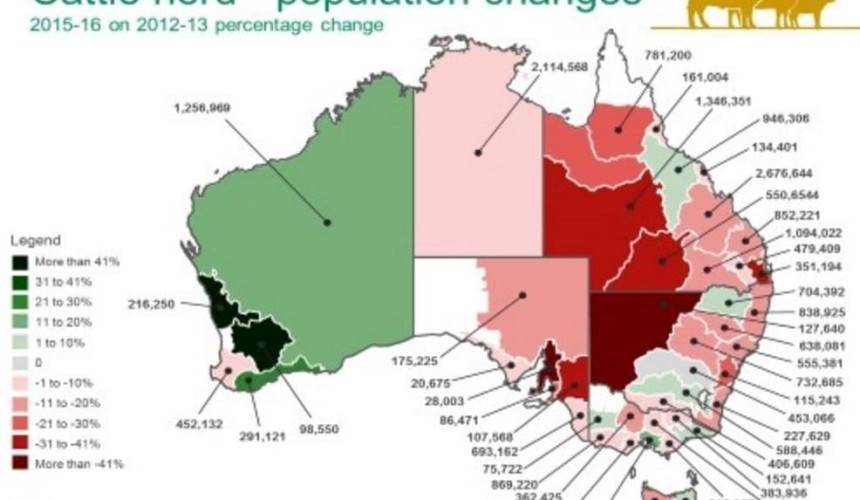 Where has the beef herd deteriorated in size most?