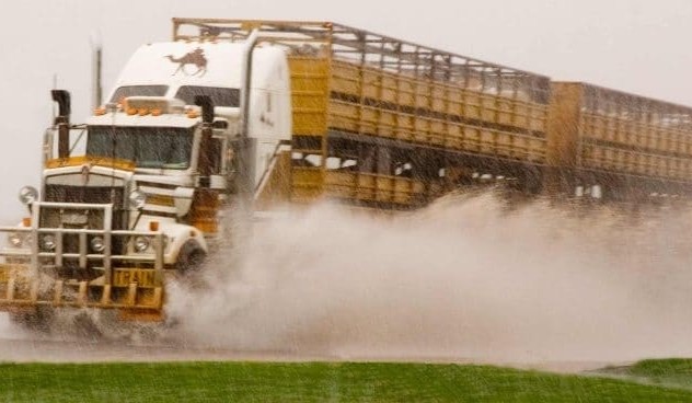 Weekly kill: Weather again plays havoc with processing operations