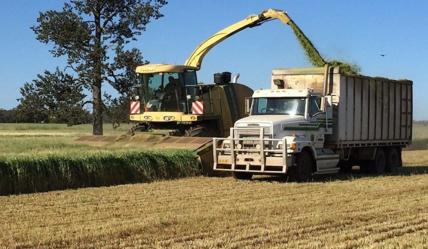 Has there ever been as much silage in storage as there is this year?