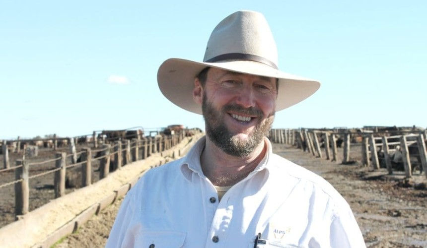 Backgrounding study targets feedlot sector’s big BRD challenge
