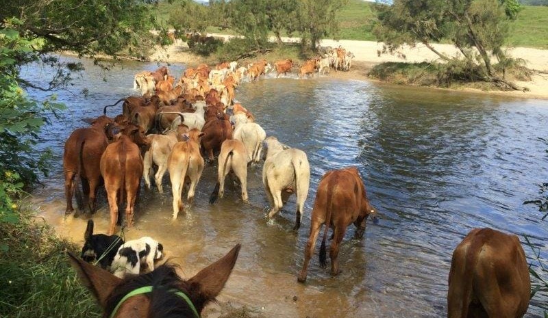 Movement at the Station: A roundup of rural property briefs