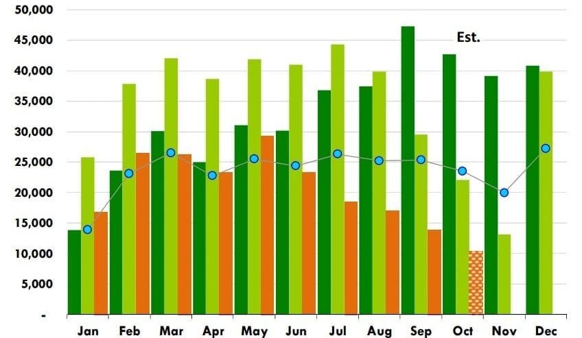 Tough going continues in US grinding beef market