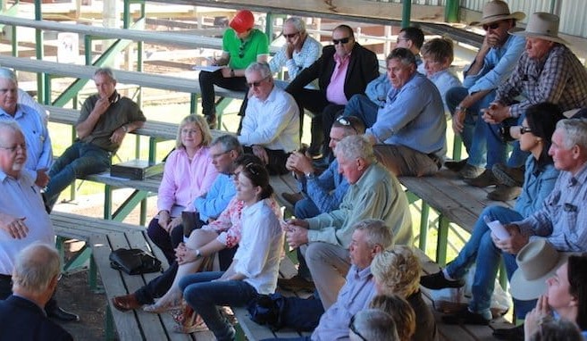 Work to commence on code of conduct for saleyard buying