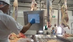 Teys’ animal health feedback project aims to lift industry performance