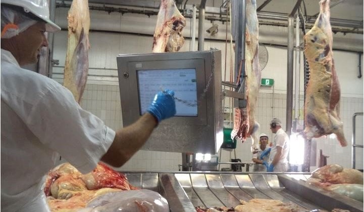 MLA to drive $150 million rollout of objective carcase measurement in 90 abattoirs