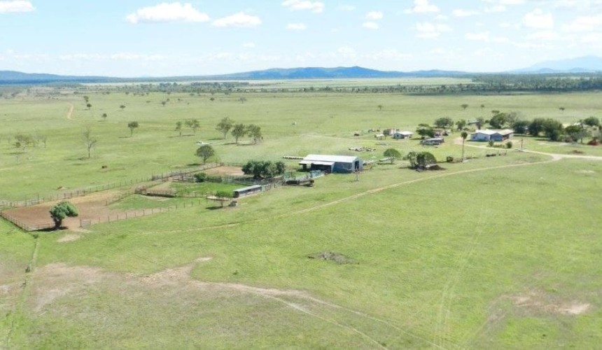 Confidence, cattle prices fuel red-hot market for three North Qld property sales