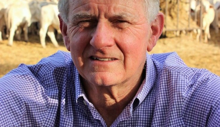 More live export markets equals greater stability, says Crean