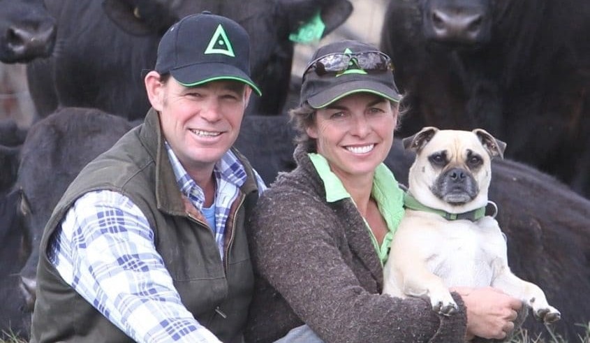 Weekly genetics review: Yearling bulls crack the code at Oodnadatta