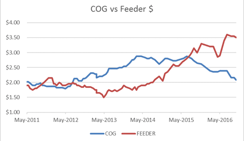 Feedlot trading budget shows improving trend, but still well into the red