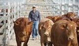 2025 NLRS saleyard closure dates, and 2026 re-opening dates