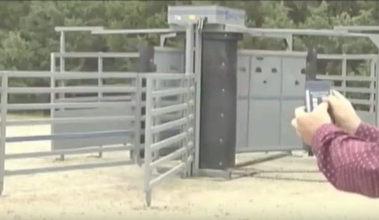 BeefEx exhibitor showcase: Turret gate adds efficiency in cattle handling + VIDEO