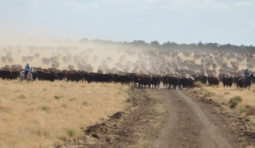 Property: Who wants to buy Australian farms?