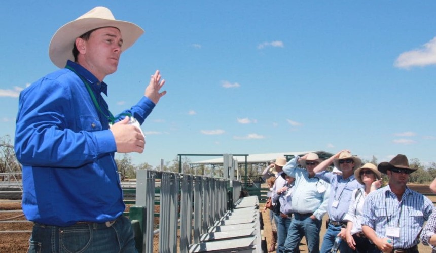 High-tech feed bunks to unlock Wagyu efficiency gains