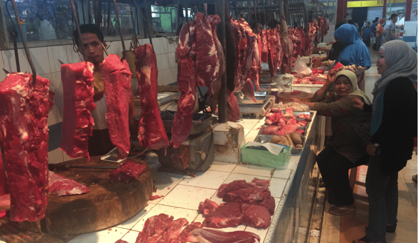 SE Asia Report: Large hole looming for Indo fresh beef supply in early 2017