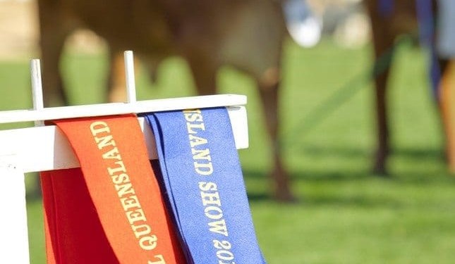 $60,000 up for grabs in RNA Paddock to Plate competitions
