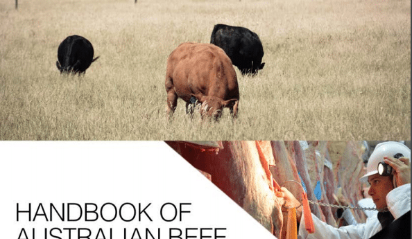 Industry working to bridge 20-year gap in carcase feedback training