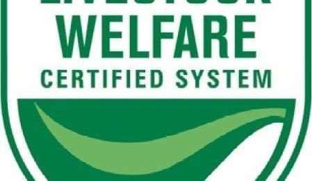 Processing industry a world leader in animal welfare best practice