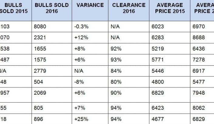 How the ‘big nine’ beef breeds performed in 2016 bull sales