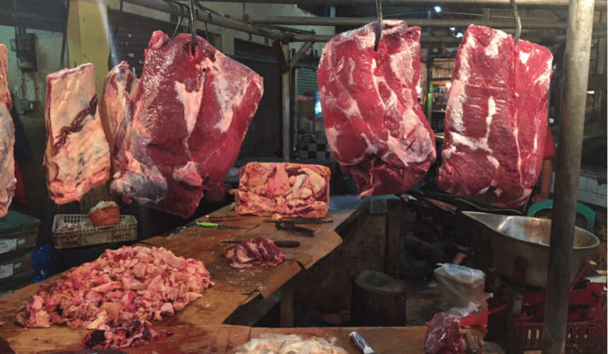 SE Asia Report: Indian buffalo gaining penetration in Indonesia