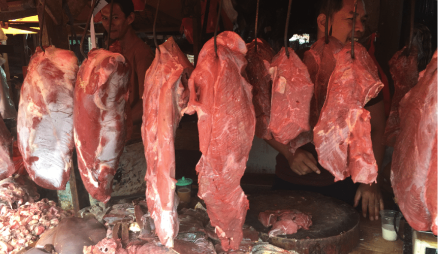 Indonesia suspends buffalo meat imports, but unclear for how long