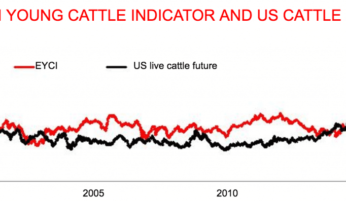 Summer forecast adds pressure to cattle price outlook
