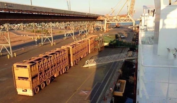 Large shipment of breeders departs Darwin for Indonesia