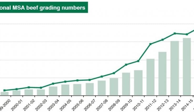 MSA grading penetration continues to grow, despite smaller kills