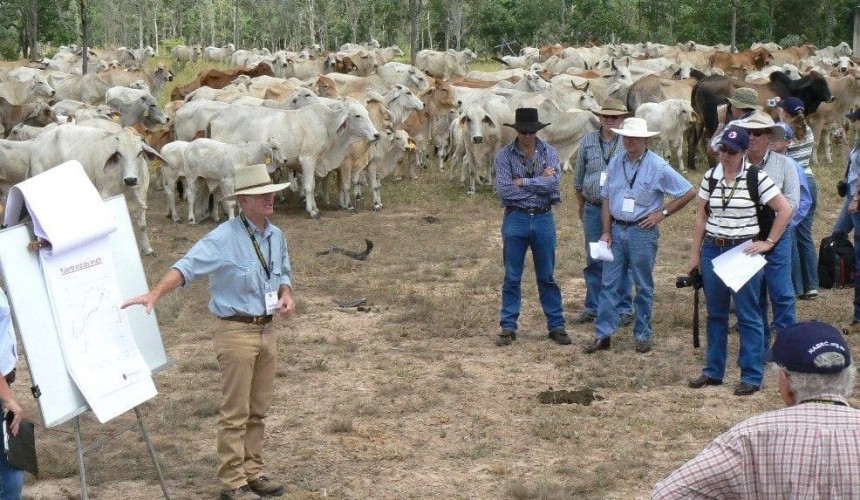 Recruitment: Project looks at prospects for building network for red meat professionals