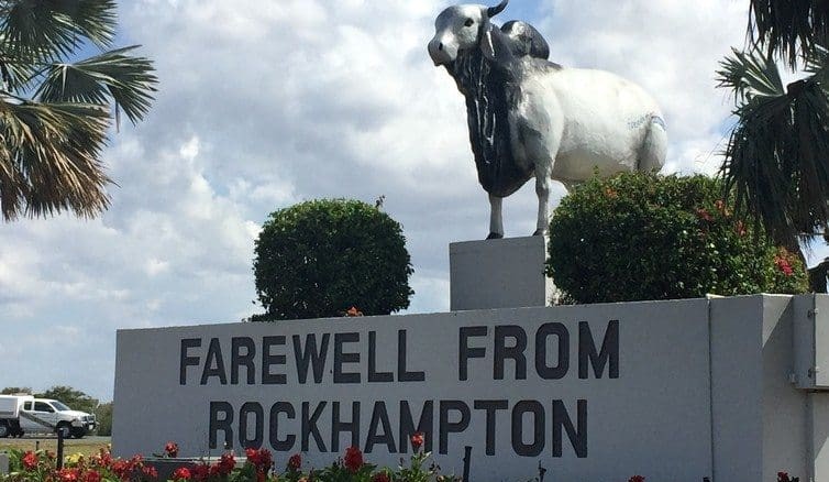 Australia’s Brahman story underlines value of research and industry collaboration