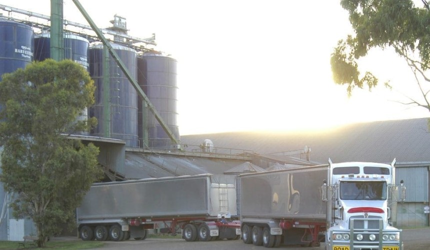 Big contrast in feedgrain pricing, north and south