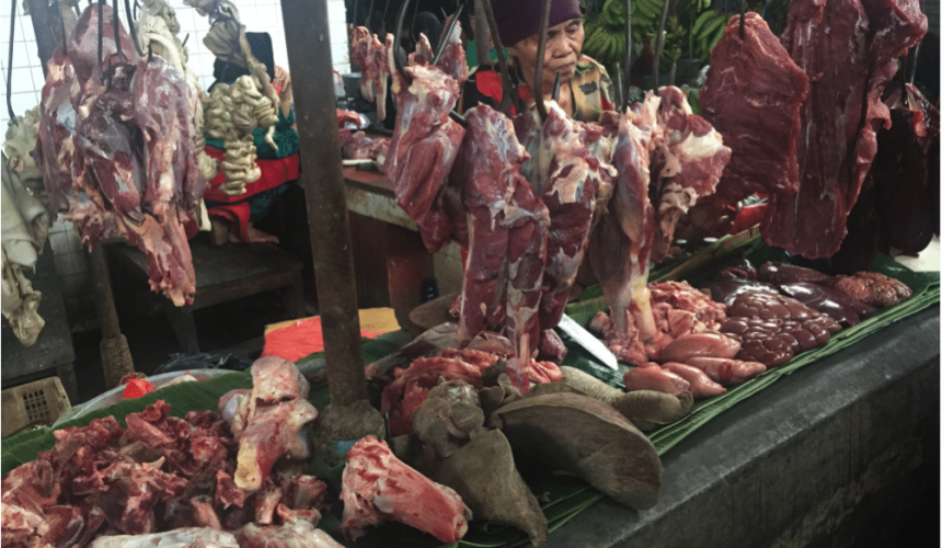 SE Asia Report: Indian buffalo seriously impacting Indo slaughter cattle demand
