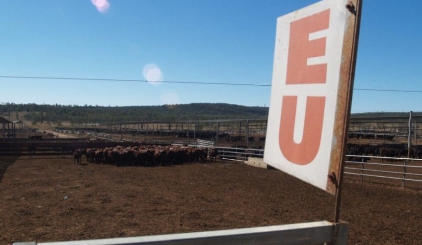 Australia-EU Free Trade Agreement negotiations enter important phase