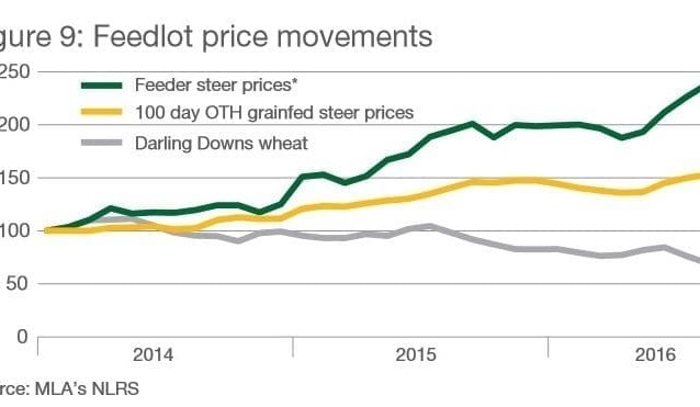 Projections: Feedlot numbers to decline in 2017, but cattle will remain on feed longer