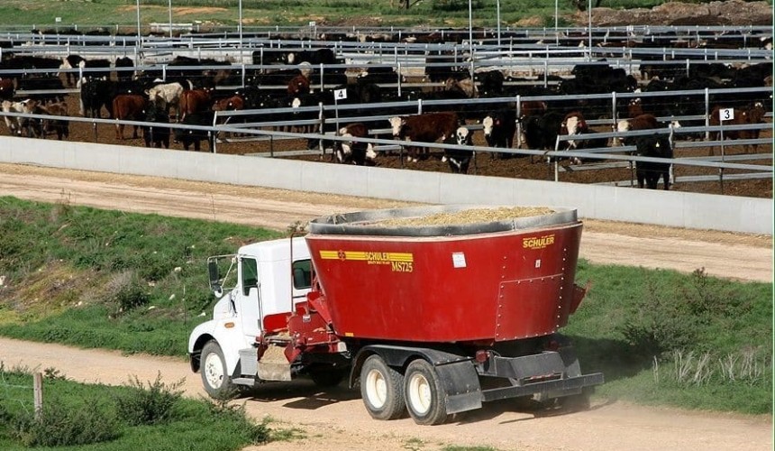 Feedlot expansion case study: SA’s Iranda Beef grows to 15,000 head