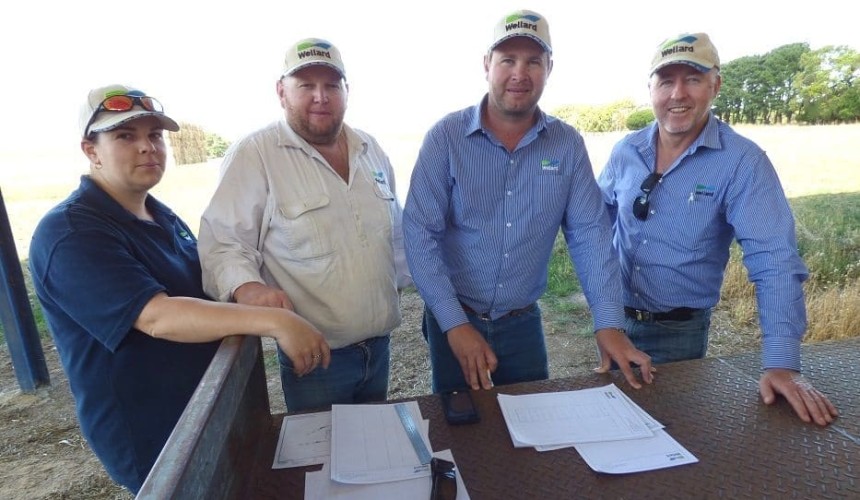 Wellard readies for China livex trade with VIC quarantine facility purchase