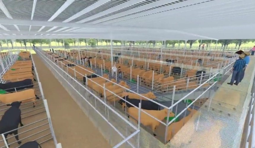 June start likely for NRLX Casino saleyard upgrade + VIDEO