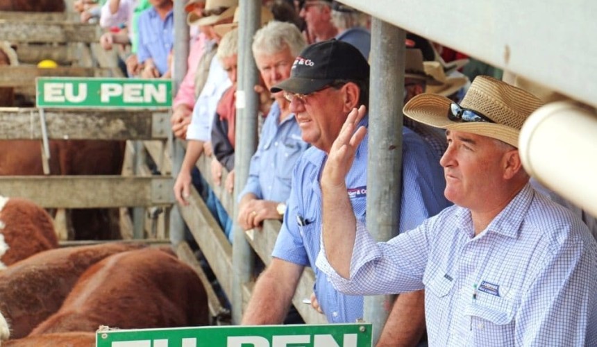 Take up EU premium opportunity, southern producers urged