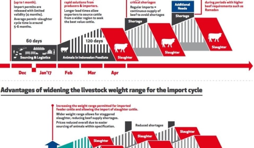 Indonesia confirms rise in livex weights to 450kg shipment average