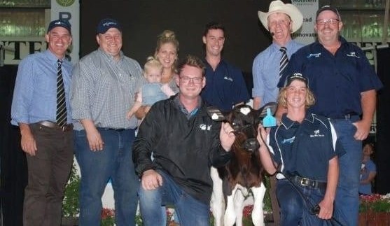 Genetics: What can the beef industry learn from $251,000 dairy heifer sale?