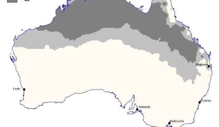 Weekly Property Review – A prickly subject for future cattle land values