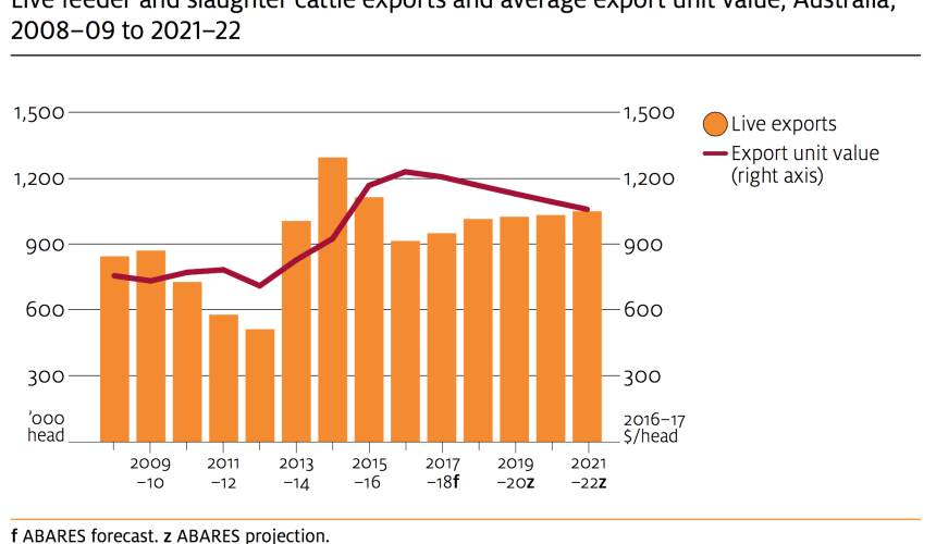 Live cattle shipments set to grow