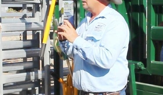 Safety focus for Rocky low-stress stock handling clinic
