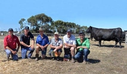 Weekly Genetics Review: Buyers spend $26.3M on bulls in February