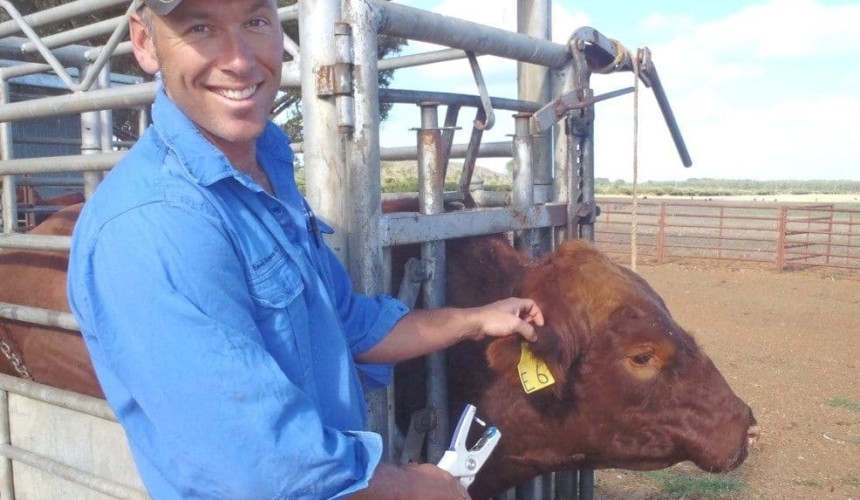 Weekly genetics review: Pestivirus screening on the increase in seedstock herds